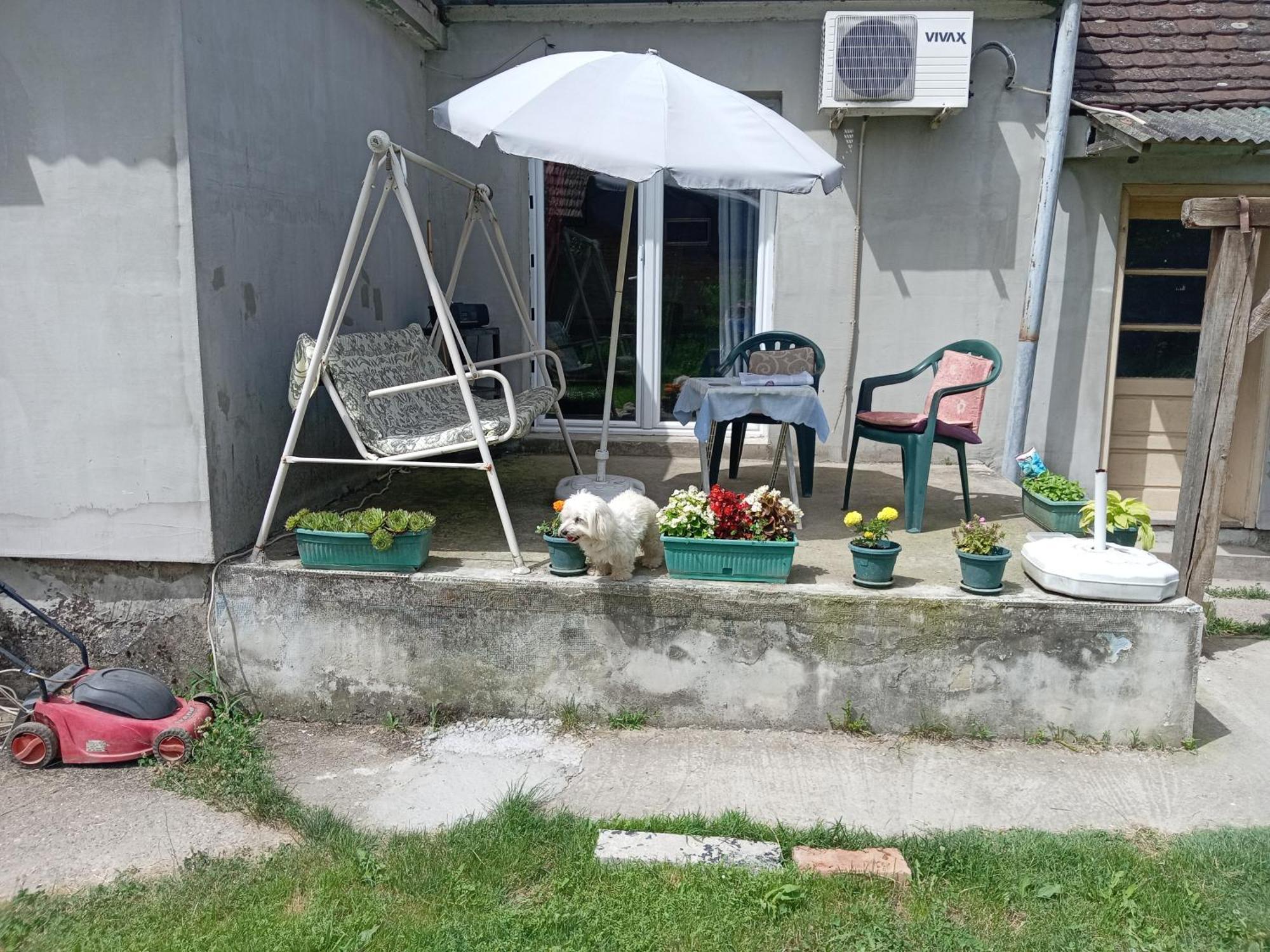"Poetsko Cose" Nikole Tesle 86 Guest House Morovic Ngoại thất bức ảnh